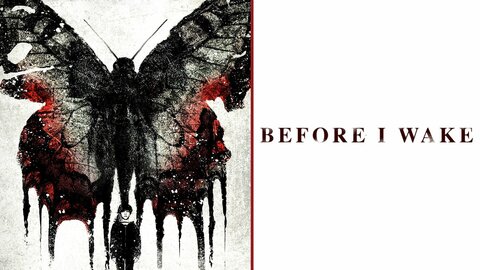 Before I Wake